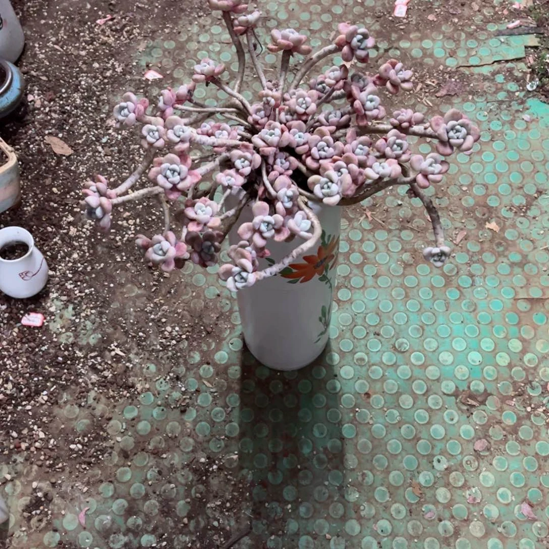 你是否还记得你曾经说