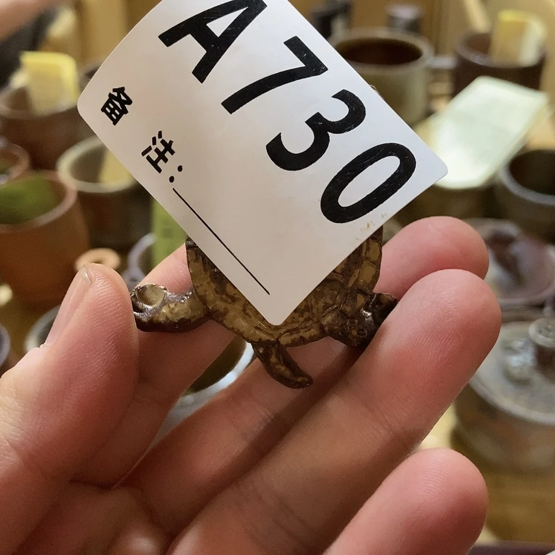 *****备前茶宠一个好看