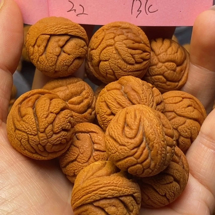 手串文玩核桃岭龙纹桃核22尺寸