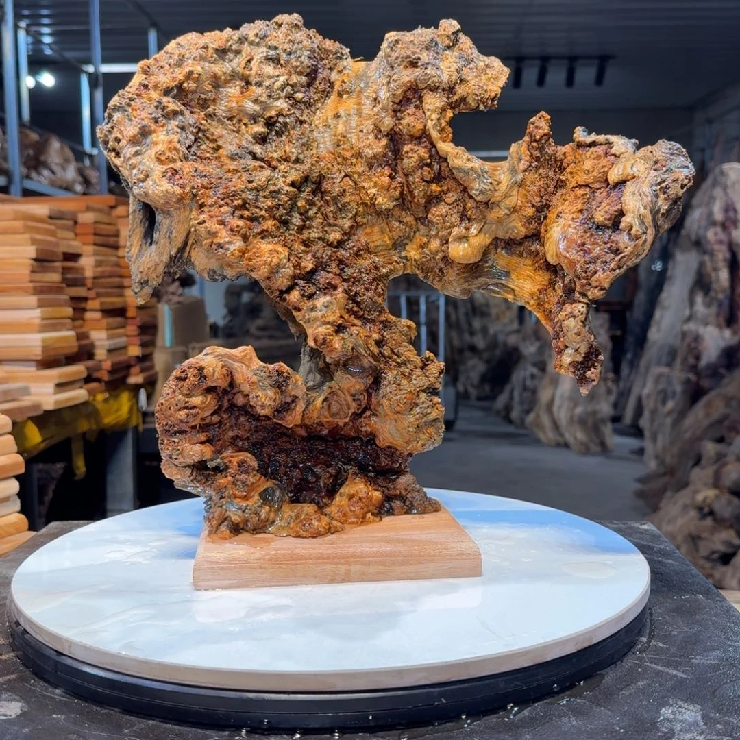 木嘦***怹王一刀琥珀木4