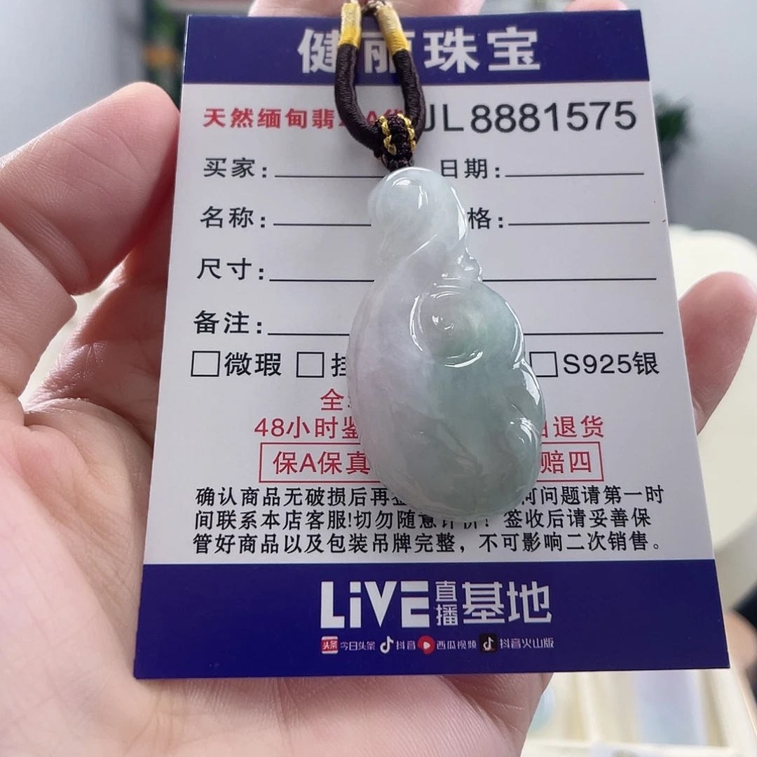 翡翠未镶嵌颈饰如意天鹅