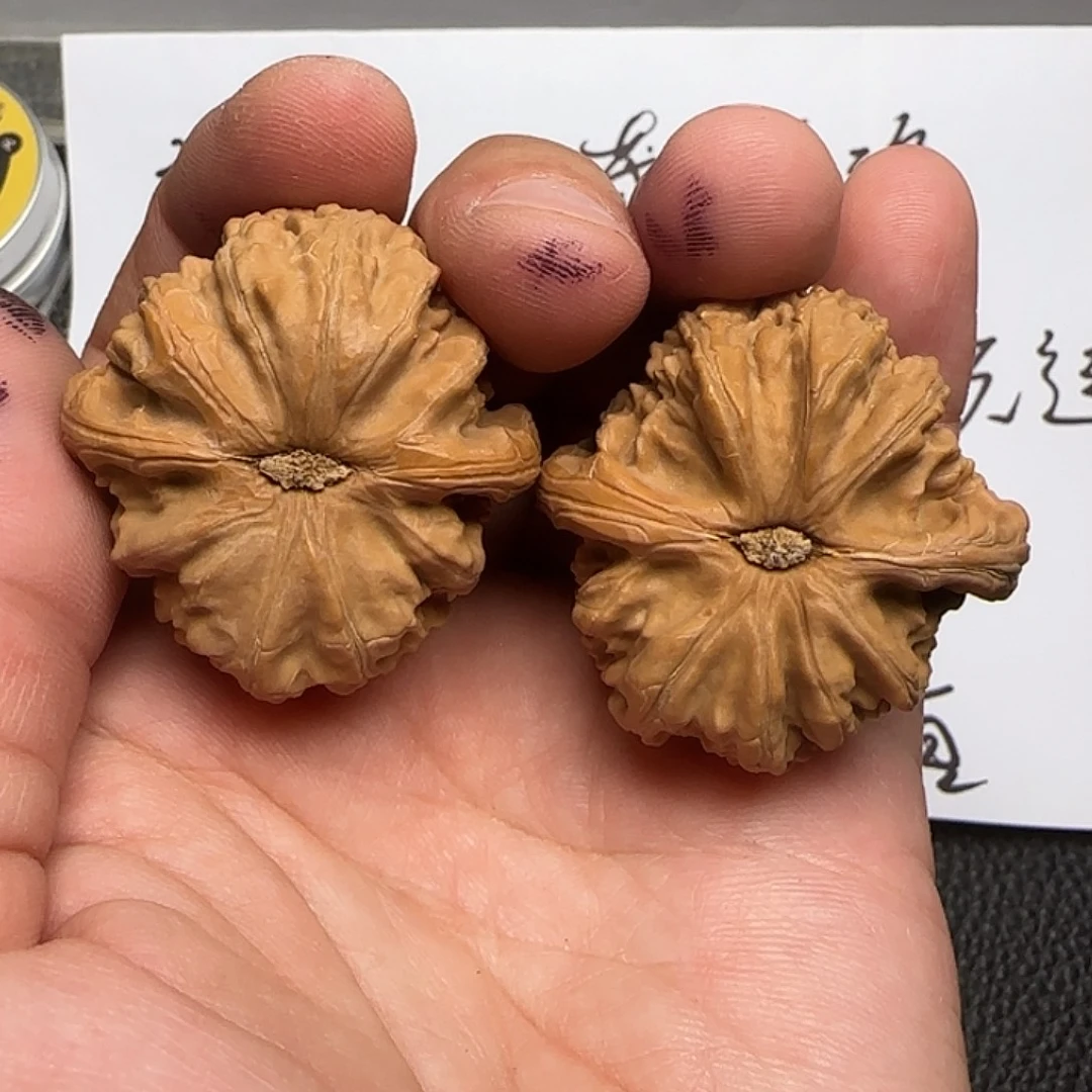 把件文玩核桃73白狮子40尺