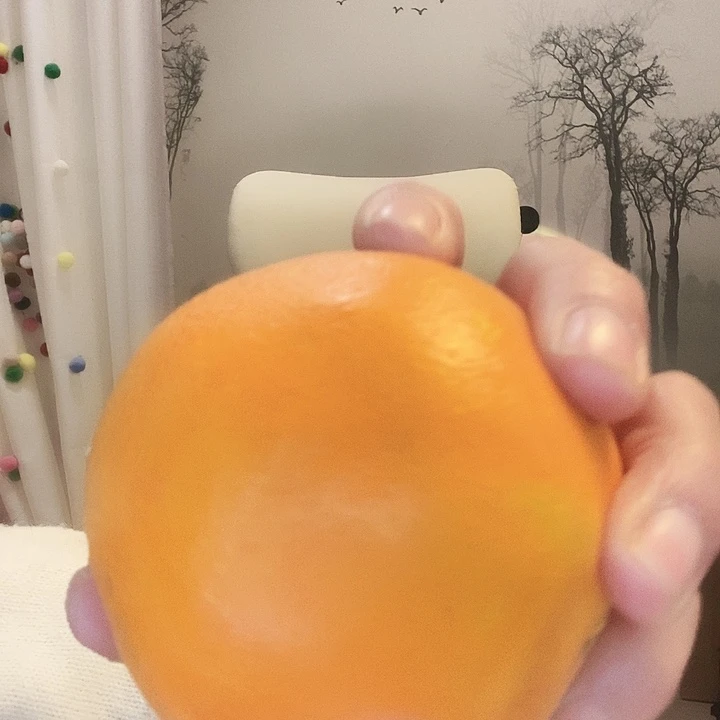 脐橙江西的精品大果果