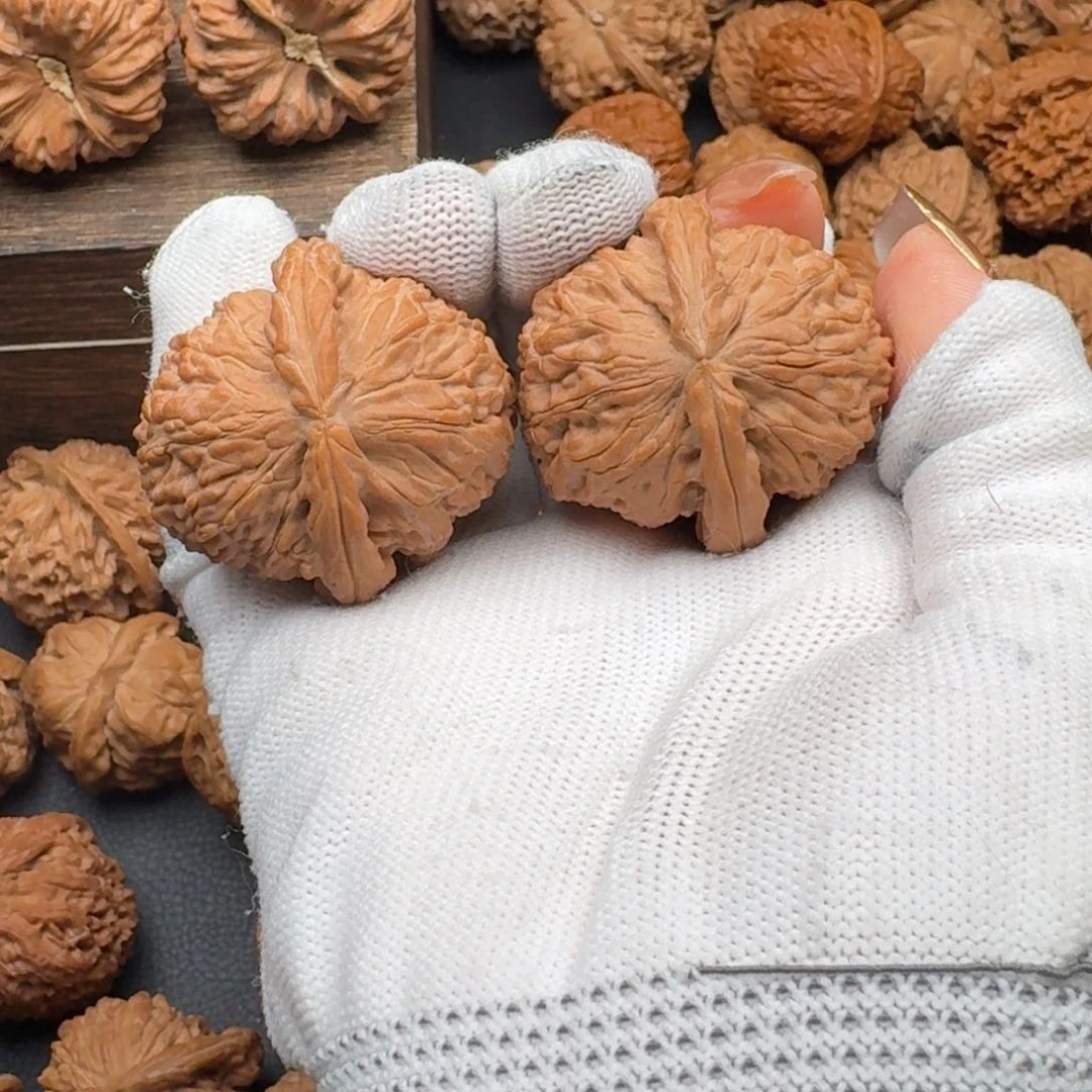 文玩核桃把件?40白狮子4634