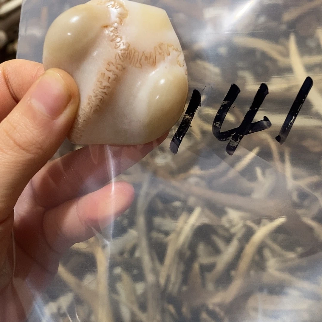 至***宝非金属三界三界三界