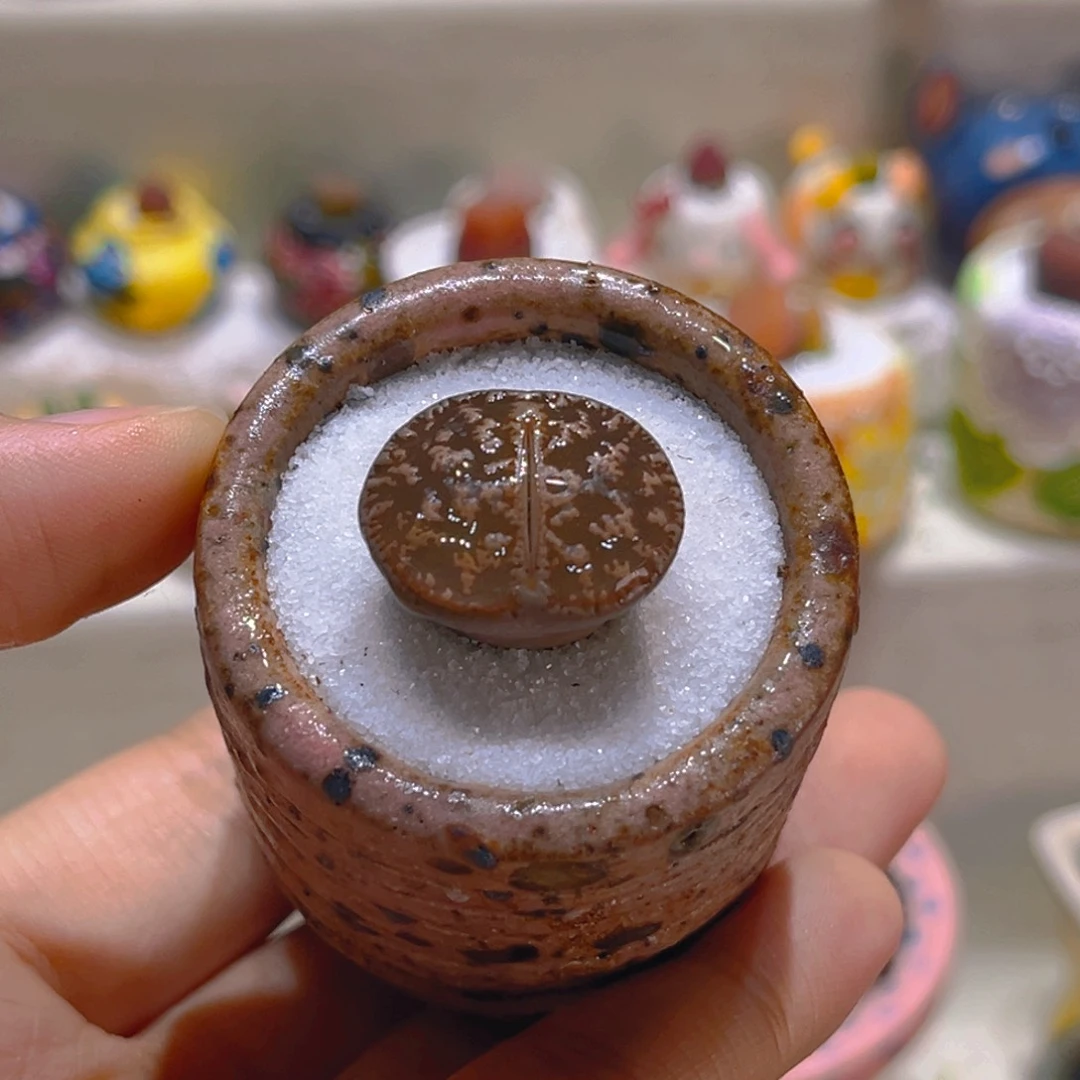 050黑变天带盆带土手工盆