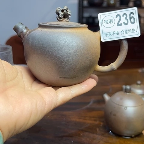戬谷龙窑柴烧茶壶236