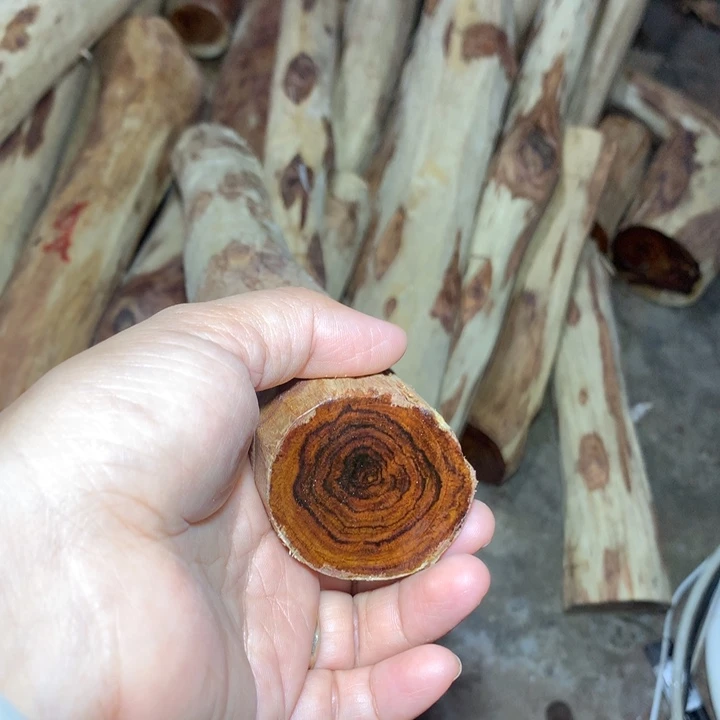 茶***雅花梨木类海南观花梨