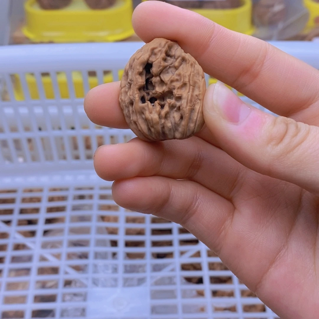 吊坠文玩核桃星*八