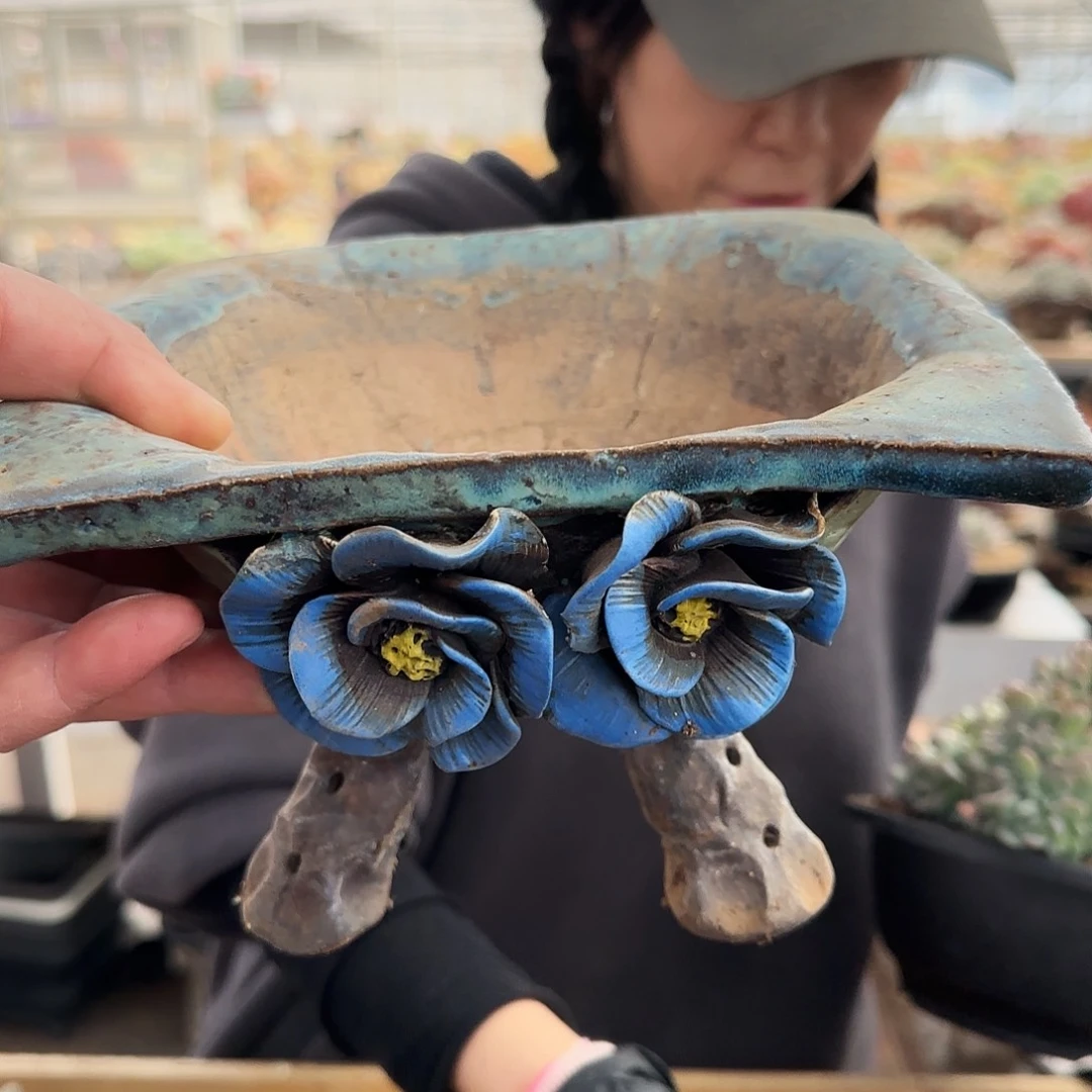 624号瑕盆65         盆