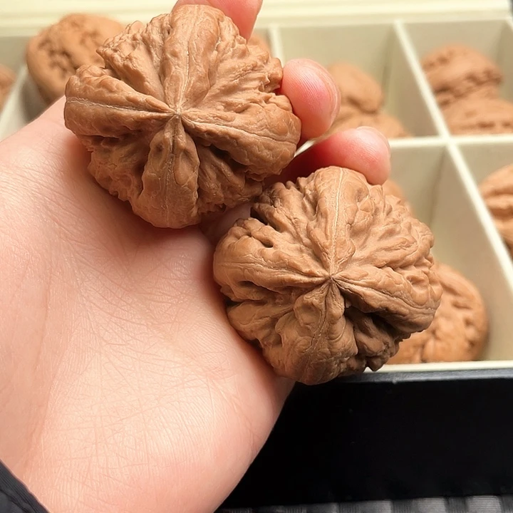 十***总霸王龙核桃尺寸四棱