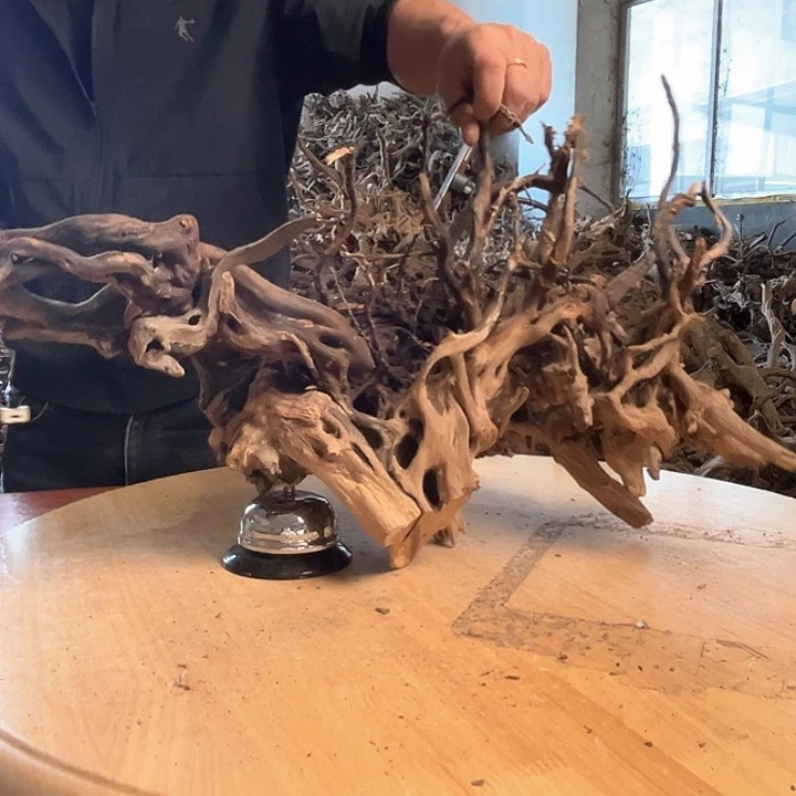 木643038 鱼缸造景摆件水库杜鹃根206