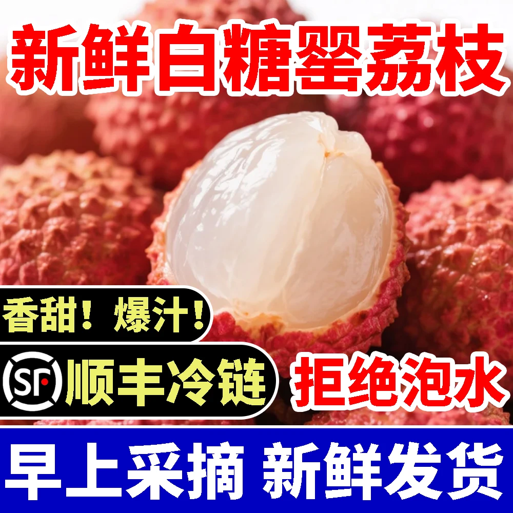 白糖罂荔枝广东高州水库老树果现摘现发【广东省内顺丰冷链包邮】