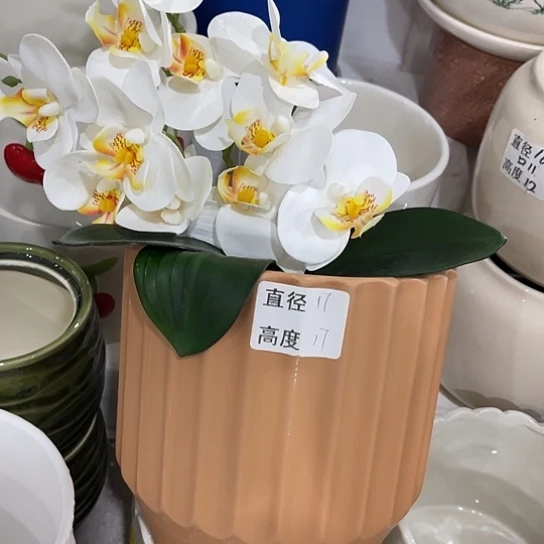 多肉绿植陶瓷花盆9.9包邮，有孔