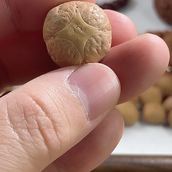 凤眼菩提吊坠尼泊尔小凤眼