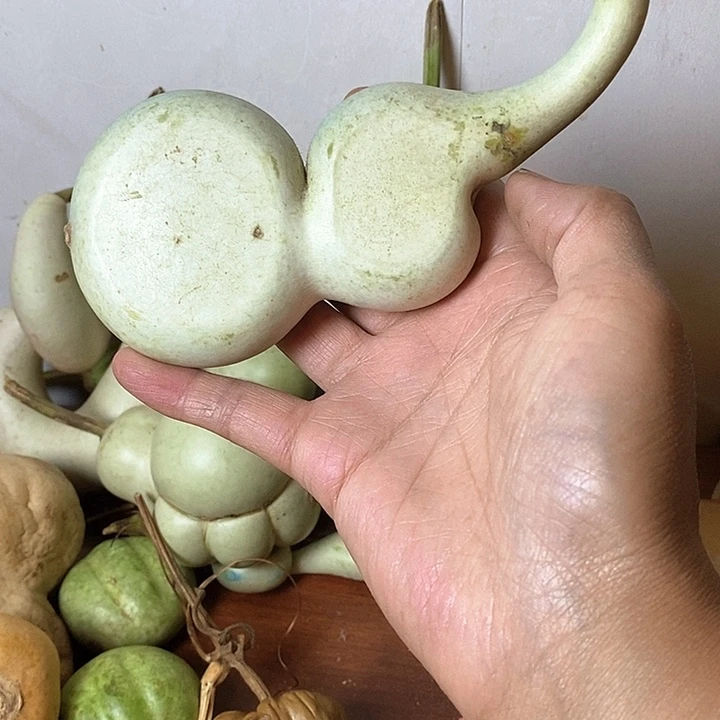 可***一青皮葫芦手把件摆件