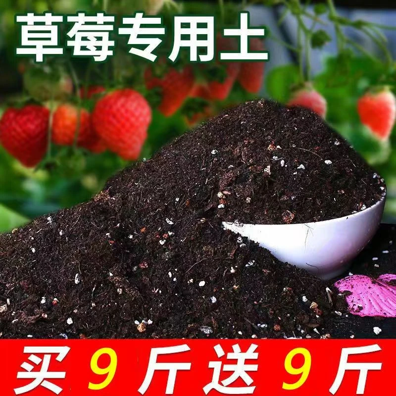 草莓专用土营养土草莓种植土盆栽土酸性土壤阳台有机土草莓土家用
