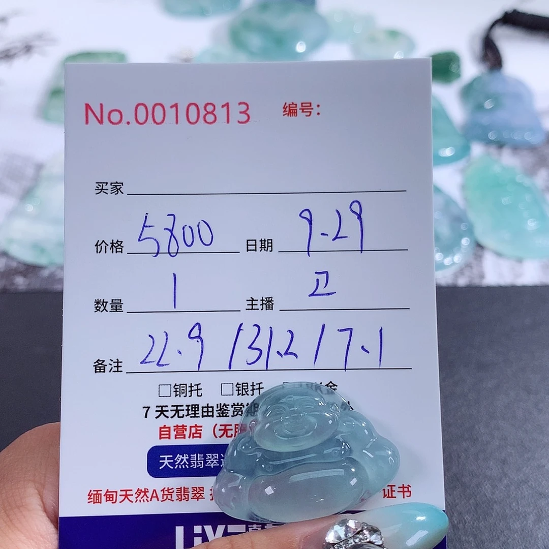 【闪购商品】颈饰未镶嵌翡翠