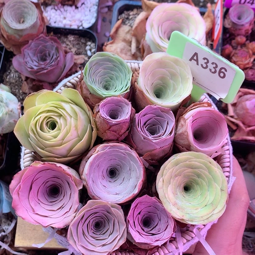 【闪购商品】篮子336