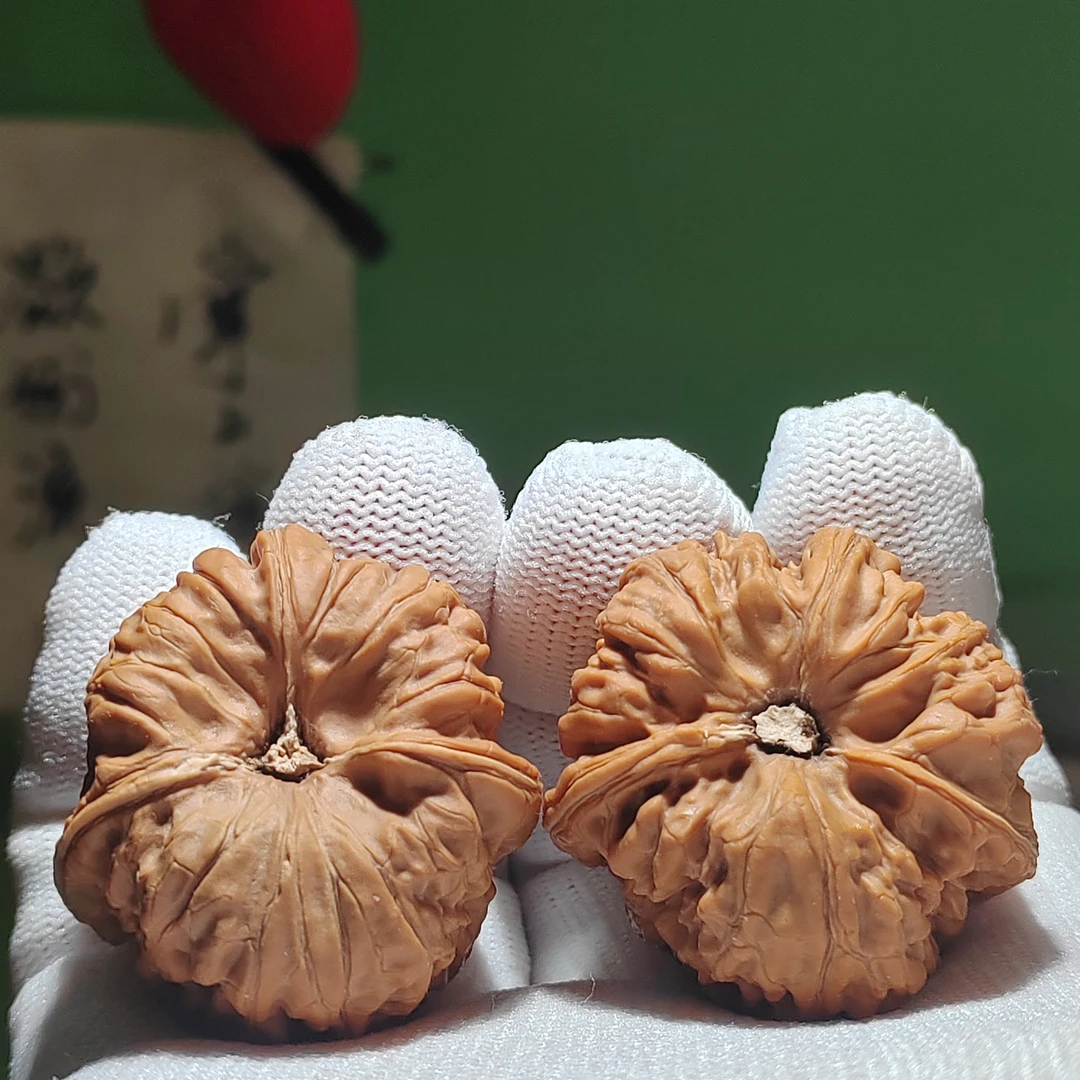 平谷凹底三棱全品，红皮山地果，桩型贵气饱满纹路细腻！