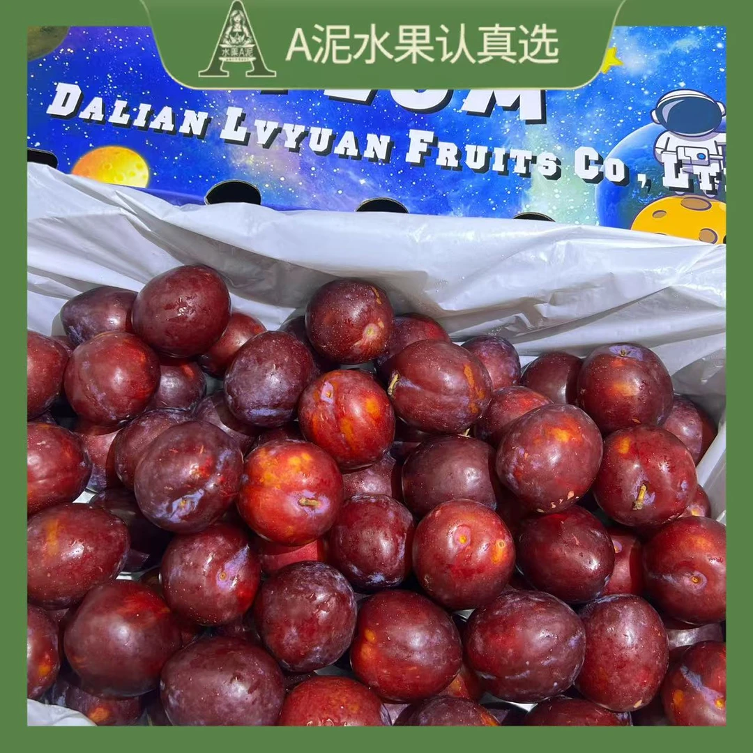 澳洲鸡心李 进口李子 脆甜新鲜孕妇水果2-5斤【坏果包赔+顺丰快递】