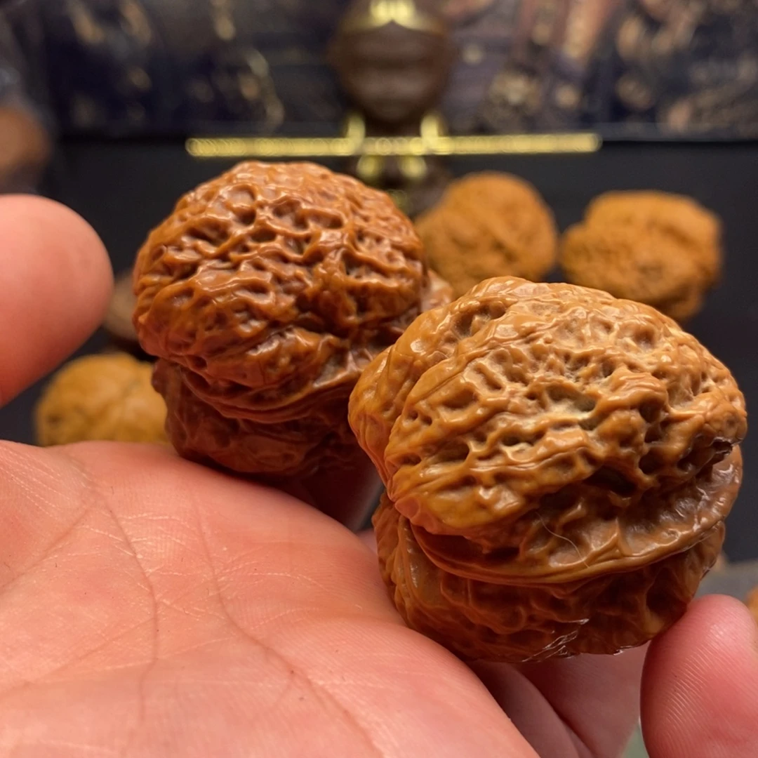把件文玩核桃扶摇蛤蟆头