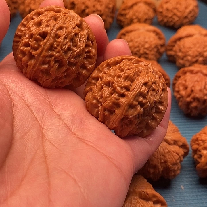 杨***.白狮子40尺已打底//