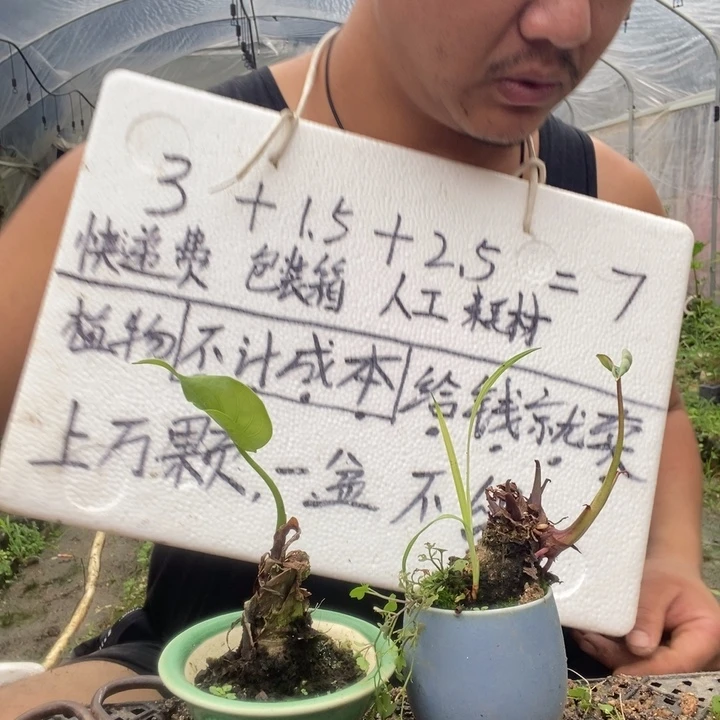 退款拉黑一物一拍49