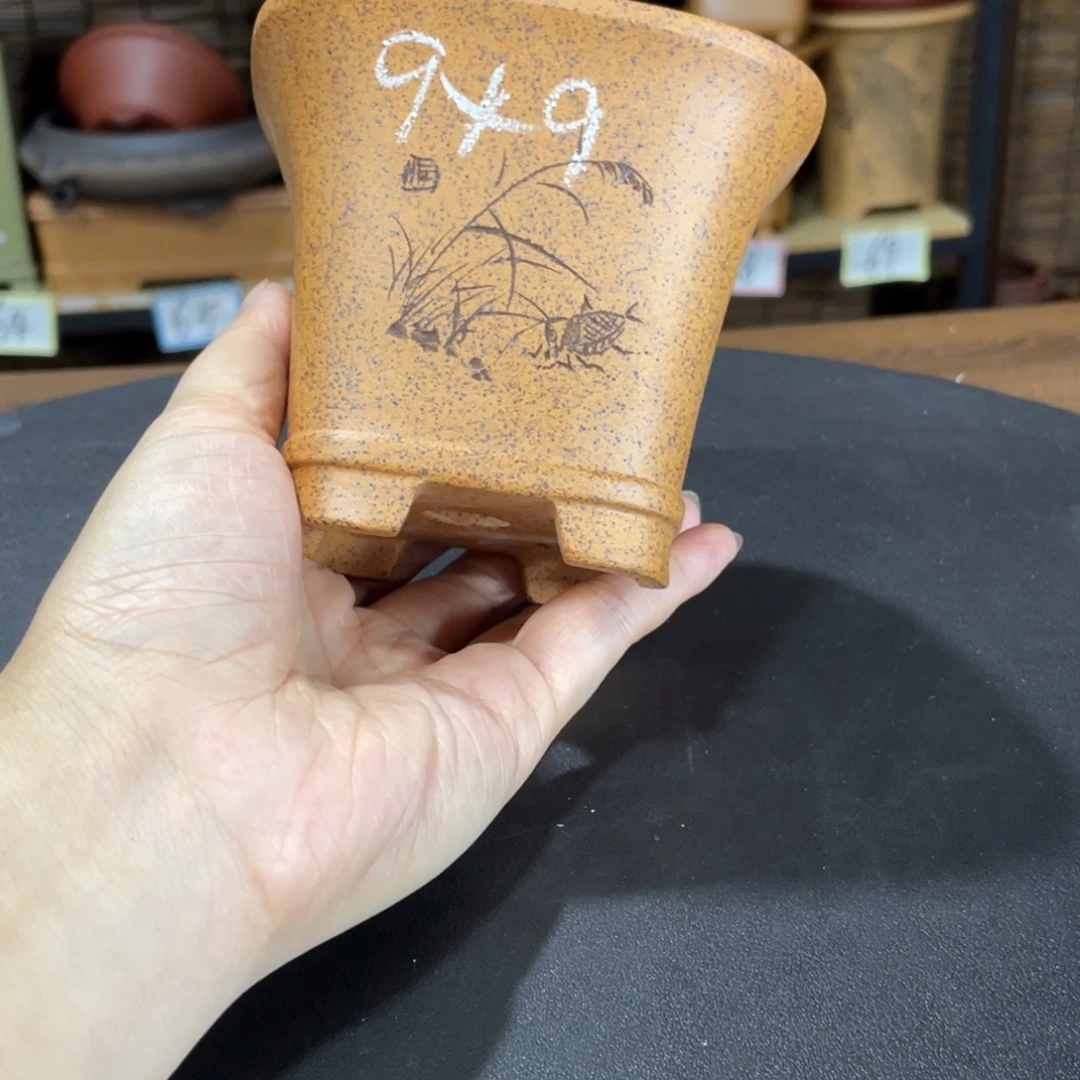 紫砂花盆在哪上班吗