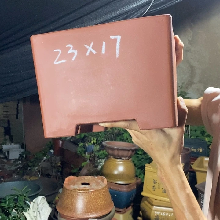 紫砂紫砂紫砂紫砂