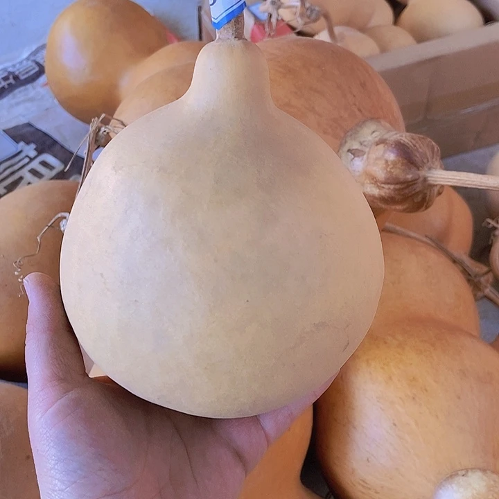 悬崖小草恭喜发财