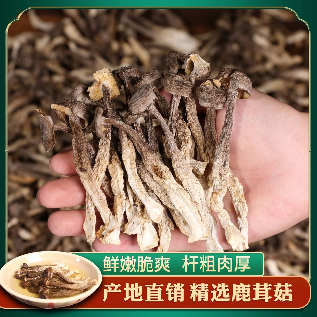 菌菇小二鹿茸菇高山脆脆菇农家菌菇干货蘑菇煲汤炒菜特产100-500g