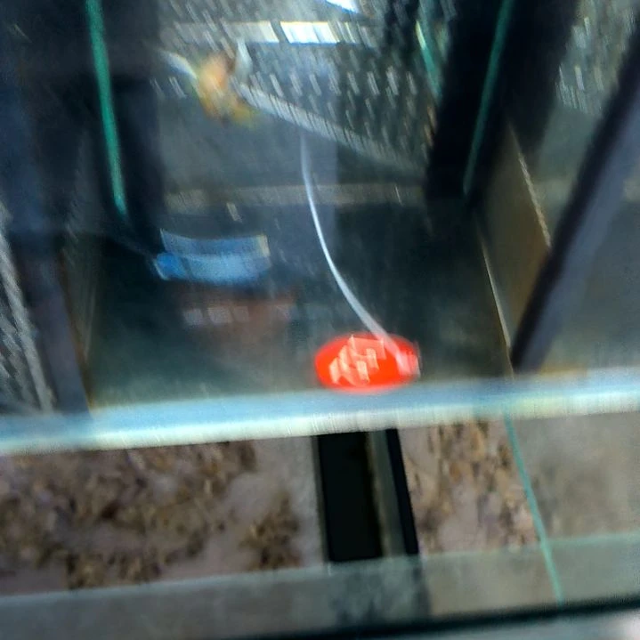 飘飘6-78-122海水