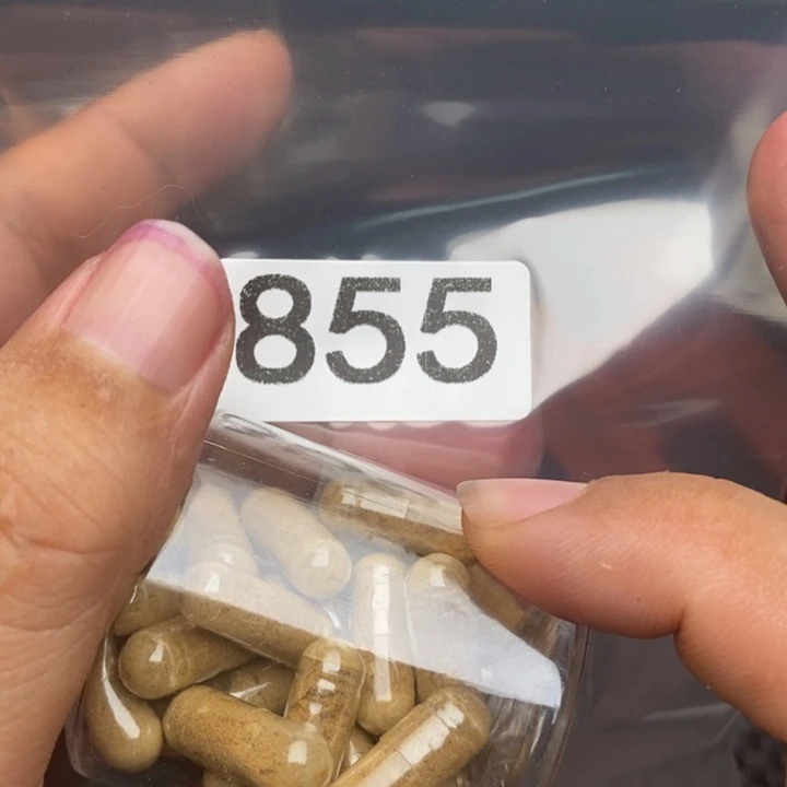 大果紫檀（缅甸花梨）