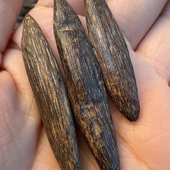 摆件沉香海南野生瓜子2.4克