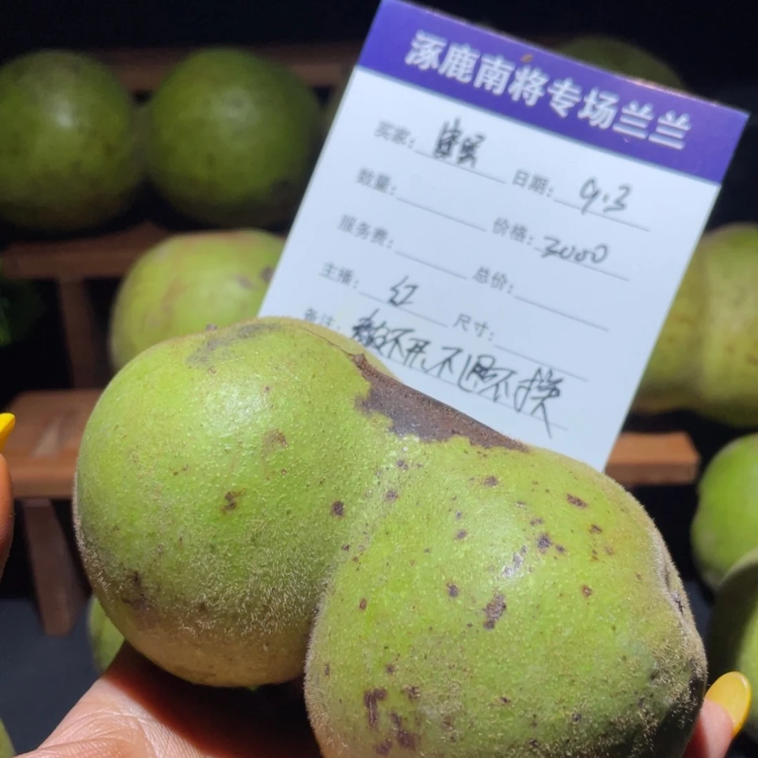 【闪购商品】笨****话涿鹿青皮不退不换