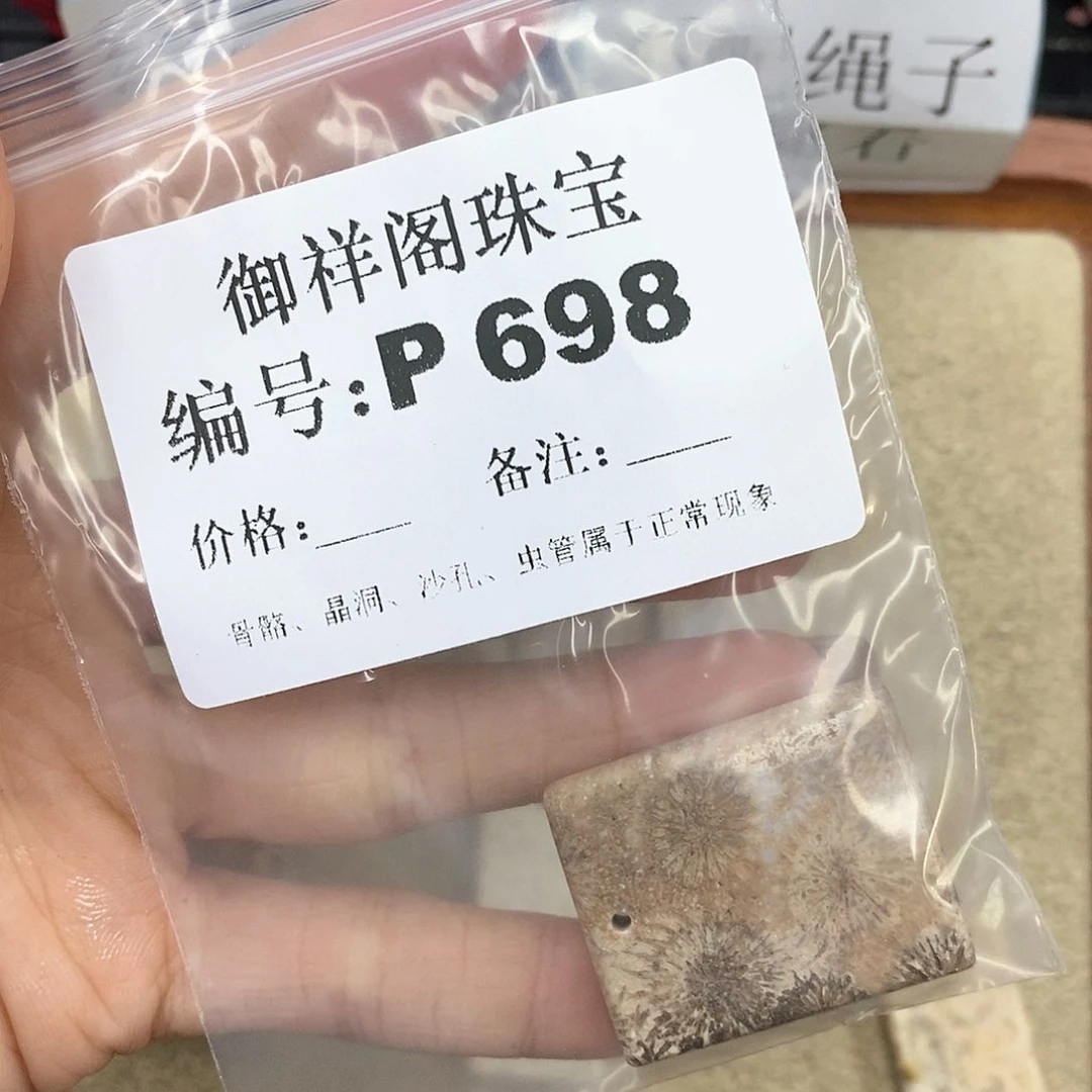 硅化珊瑚（珊瑚玉）P未镶嵌元*