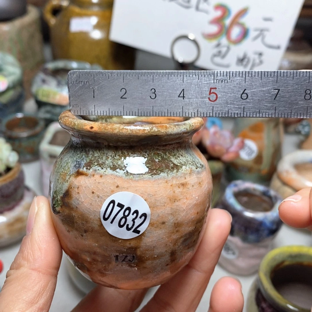 花盆拍5送一个小礼物