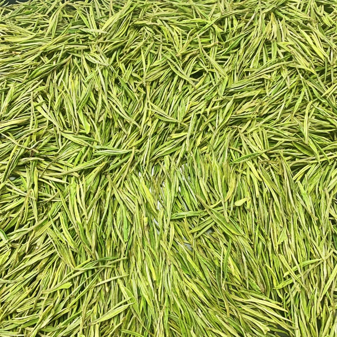 【2025新茶】X33 安吉原产地高山白茶  春茶 兰花香 明前茶