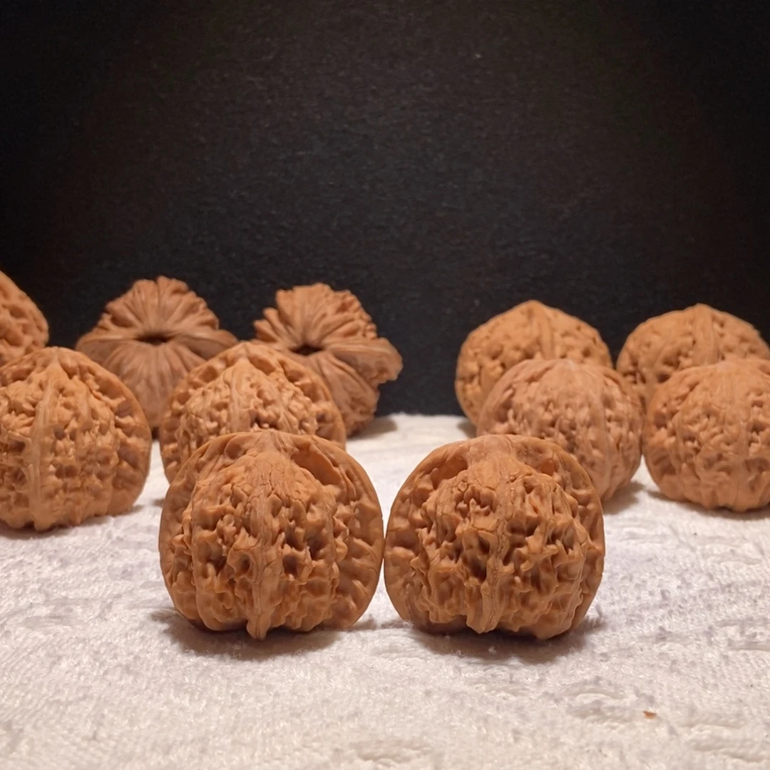 快***片极品天地，39尺，野树果