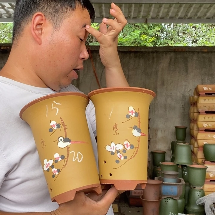 紫砂花盆盆栽花卉苗木