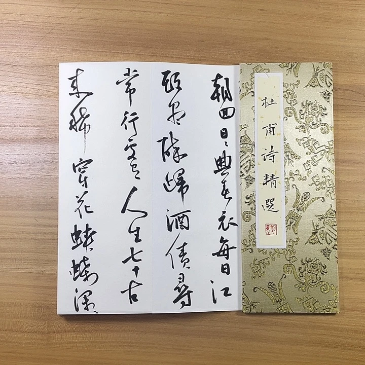 风***忆书法中书协会员作品