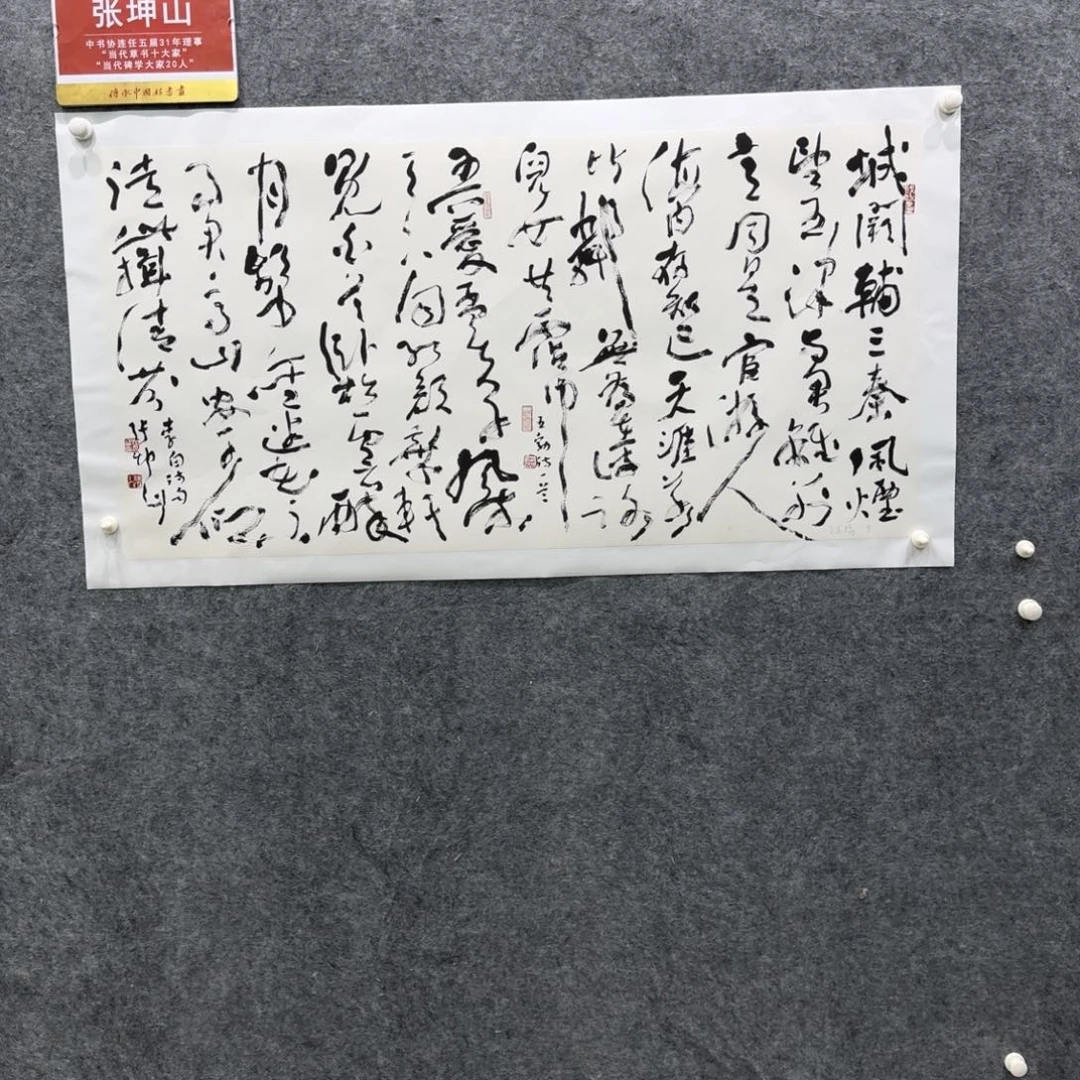 书法书法ZKS老师作品