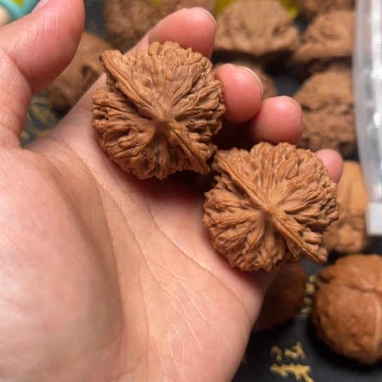 40尺盘龙纹全品无修