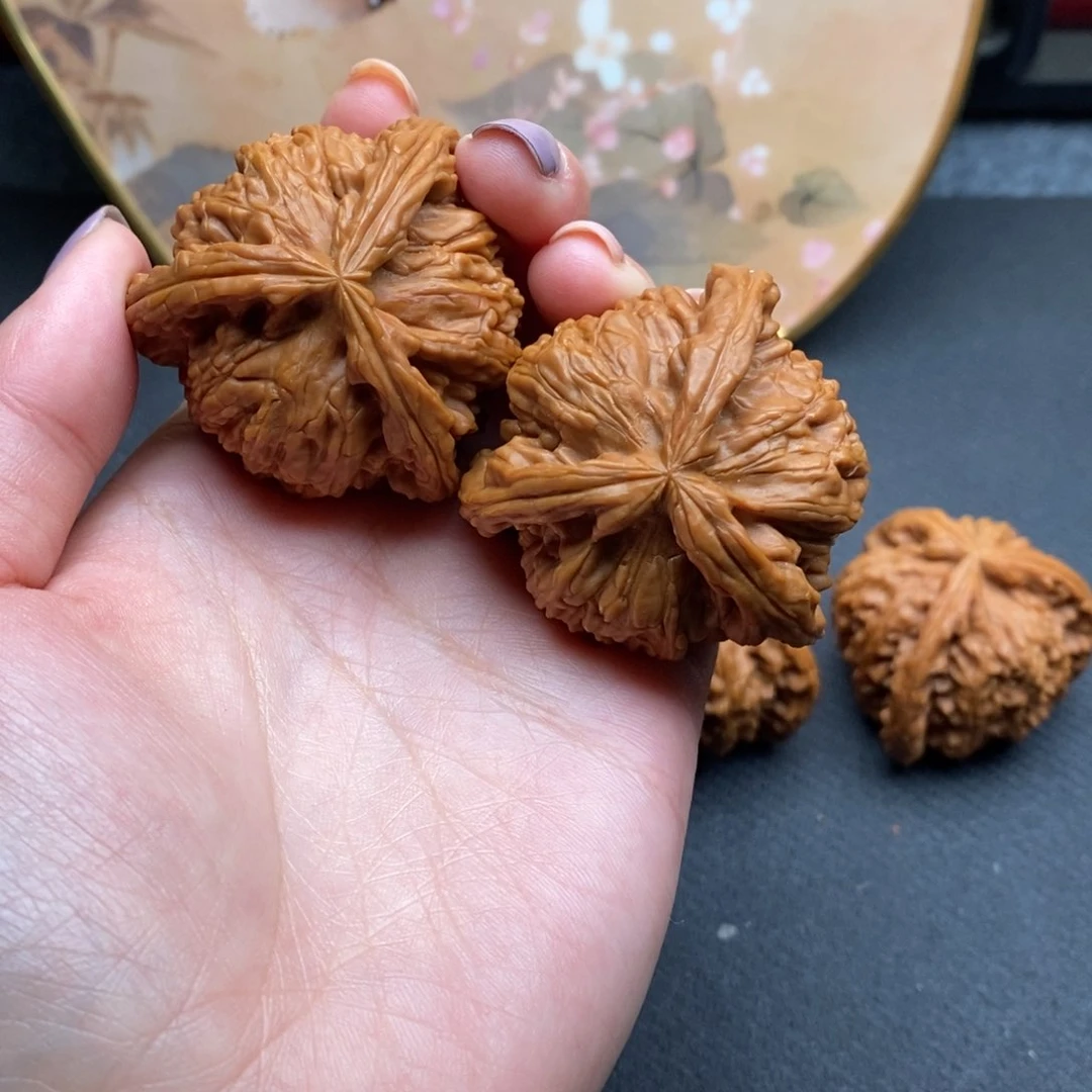 鸿**哥白狮子1111111111