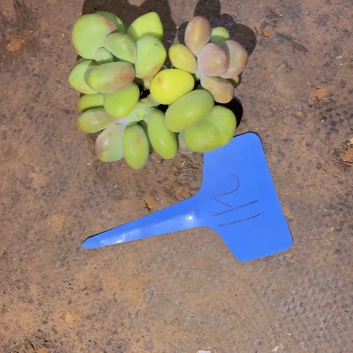 仲***这么大岁数怎么会长