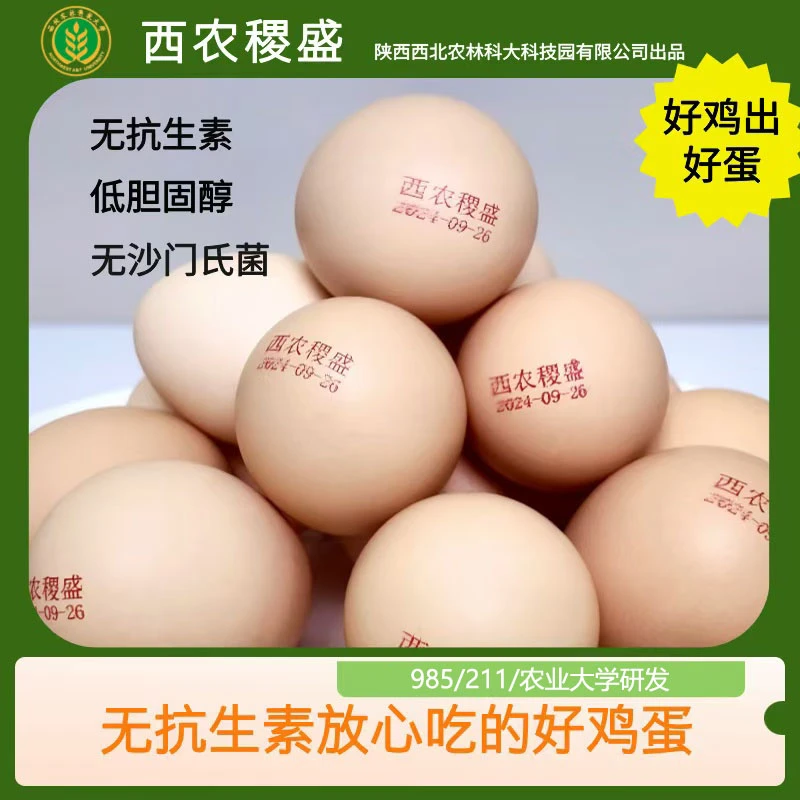 【西农稷盛】杜仲无抗可生食鸡蛋985/211/农业大学研发无菌蛋
