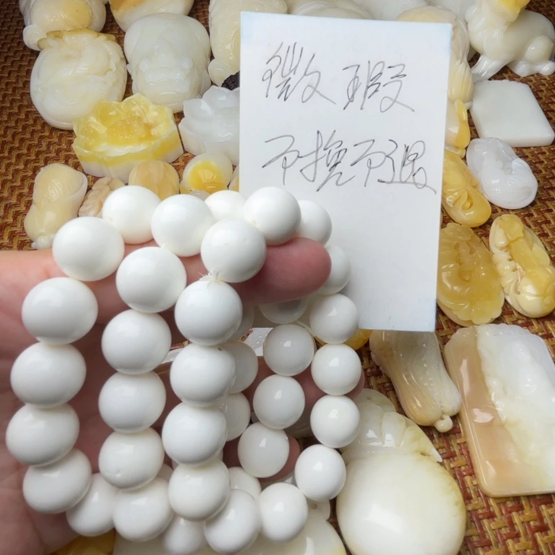 非金属贝壳天然贝壳