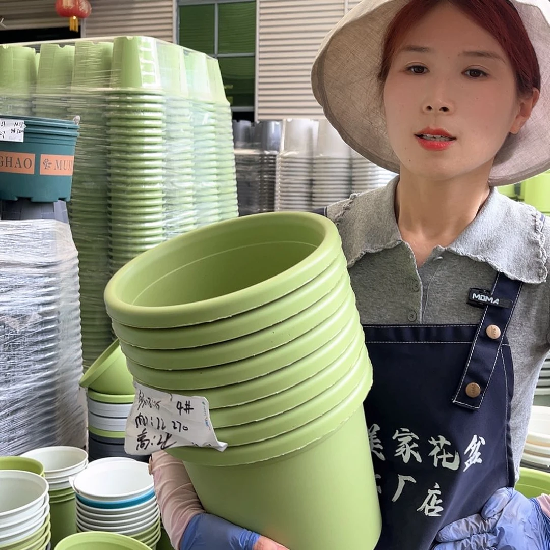 四季盆4#果绿色8个含托