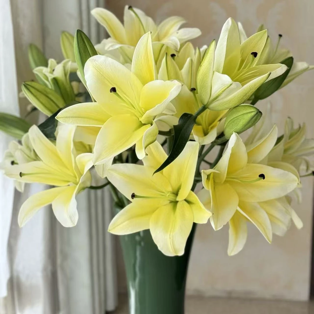 包邮黄天霸香水花束多头百合花鲜花云南昆明基地直发水养插花